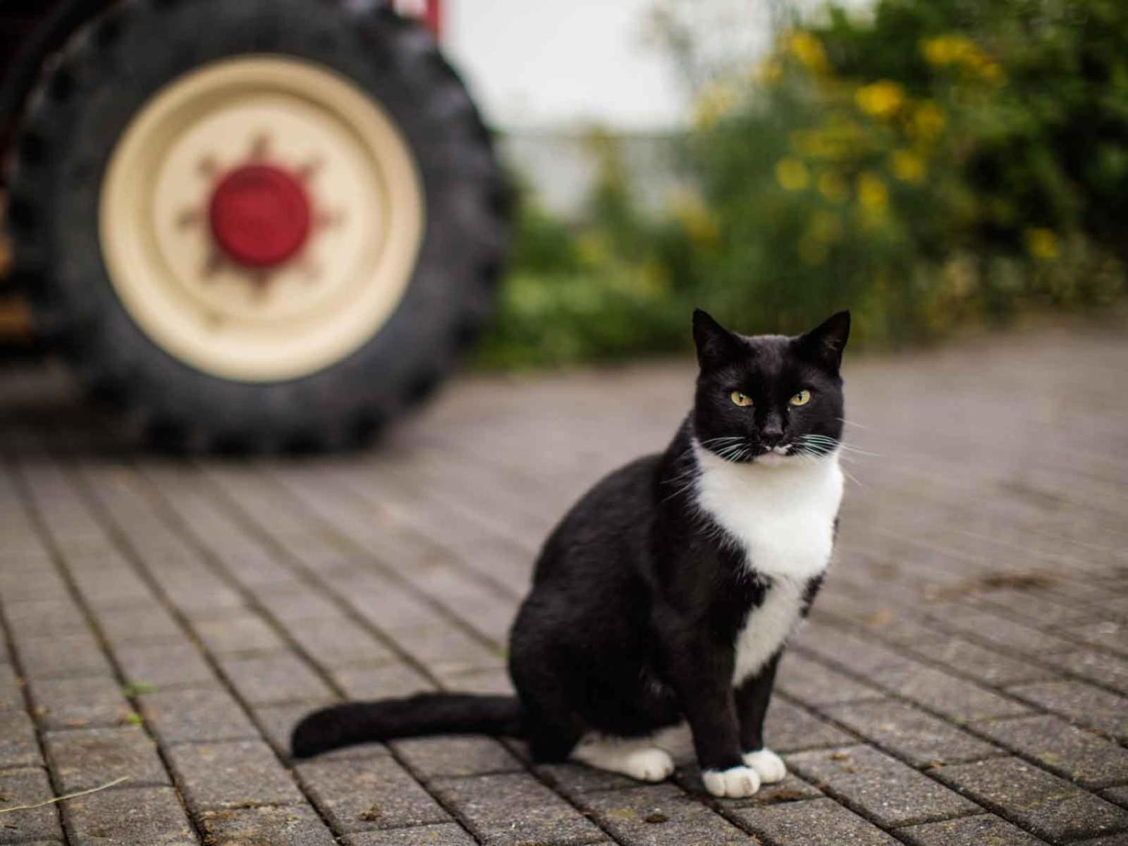 Kornkammer Schmallenberg Bagian luar foto