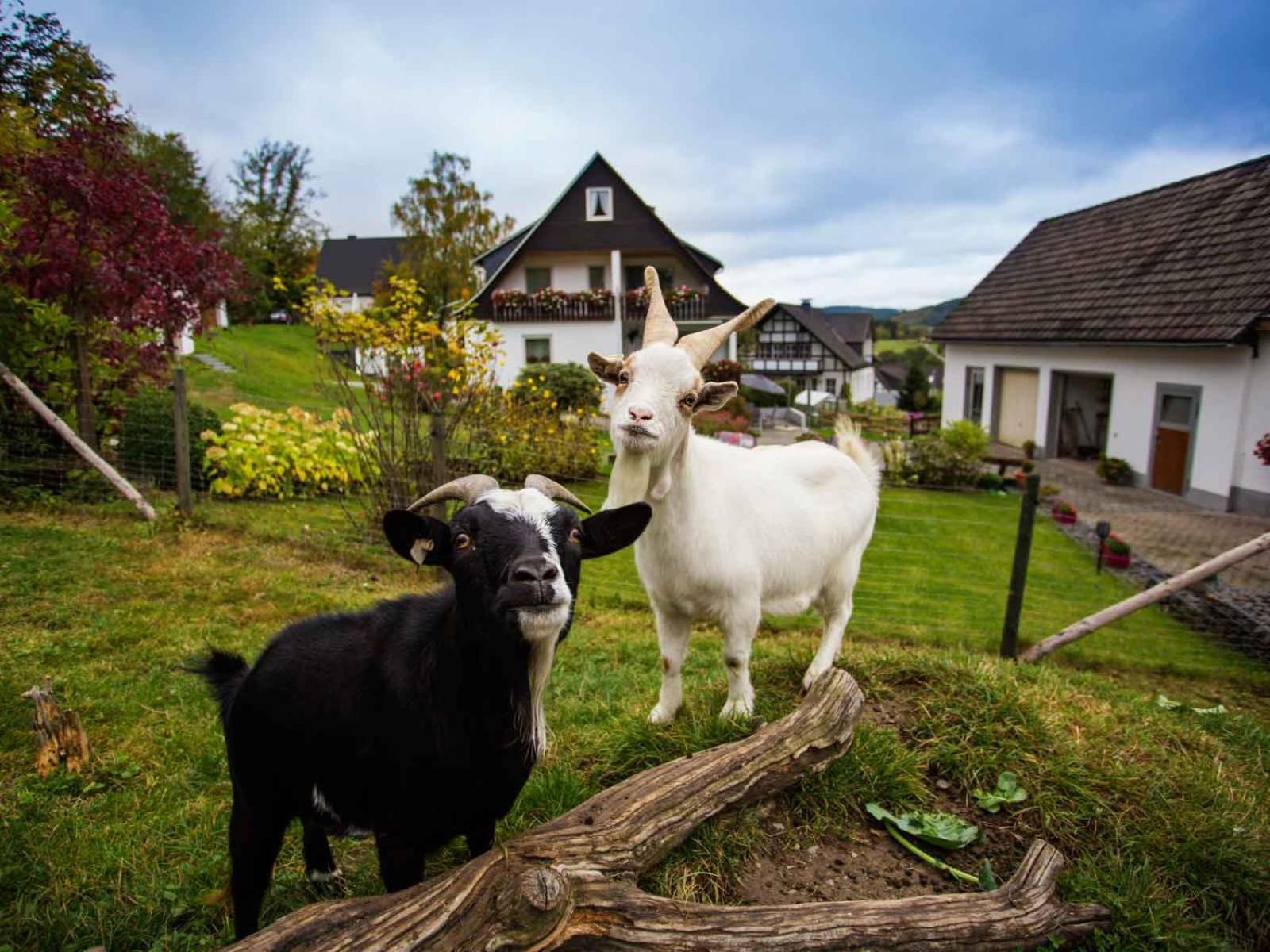 Kornkammer Schmallenberg Bagian luar foto
