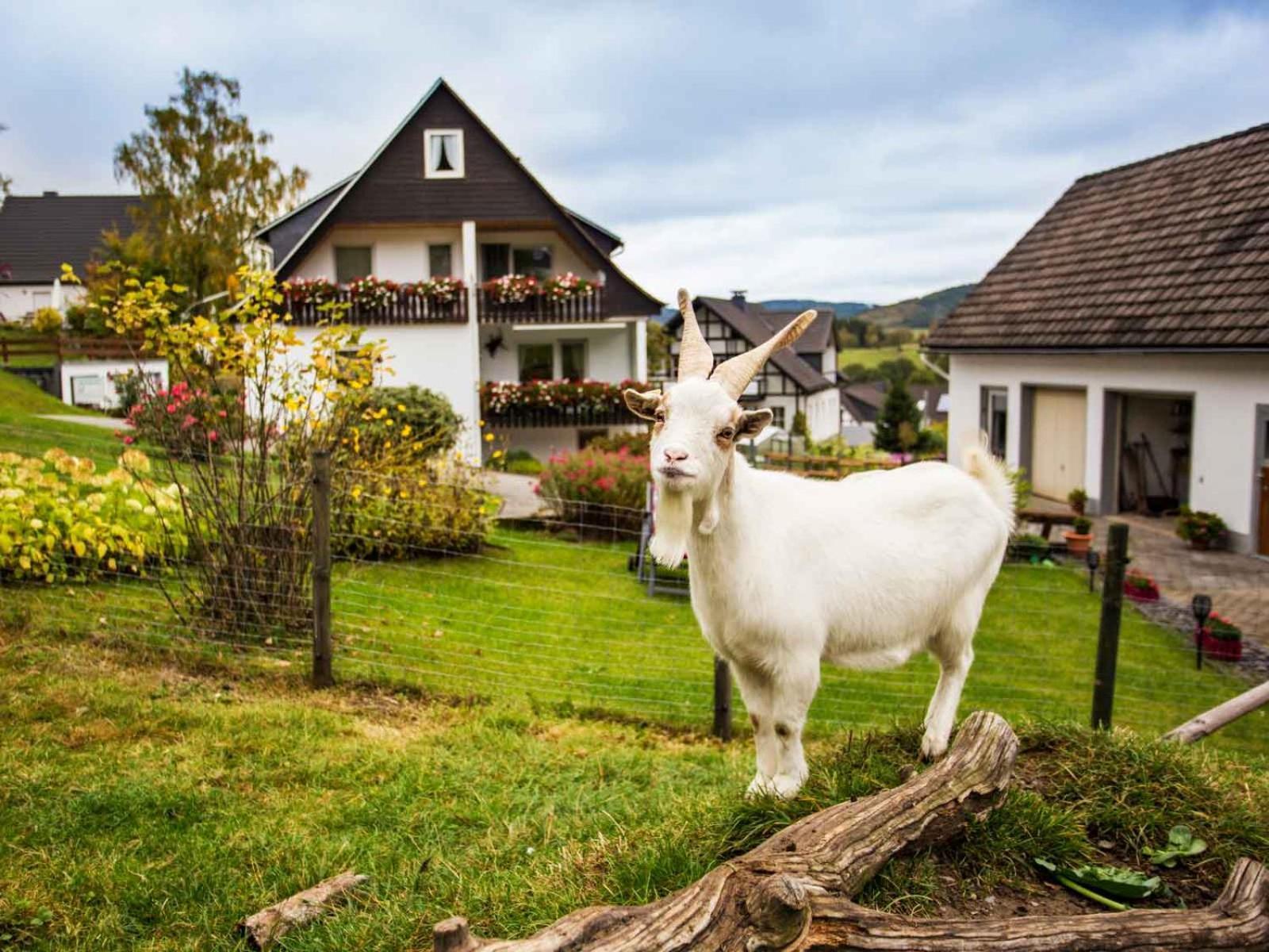Kornkammer Schmallenberg Bagian luar foto