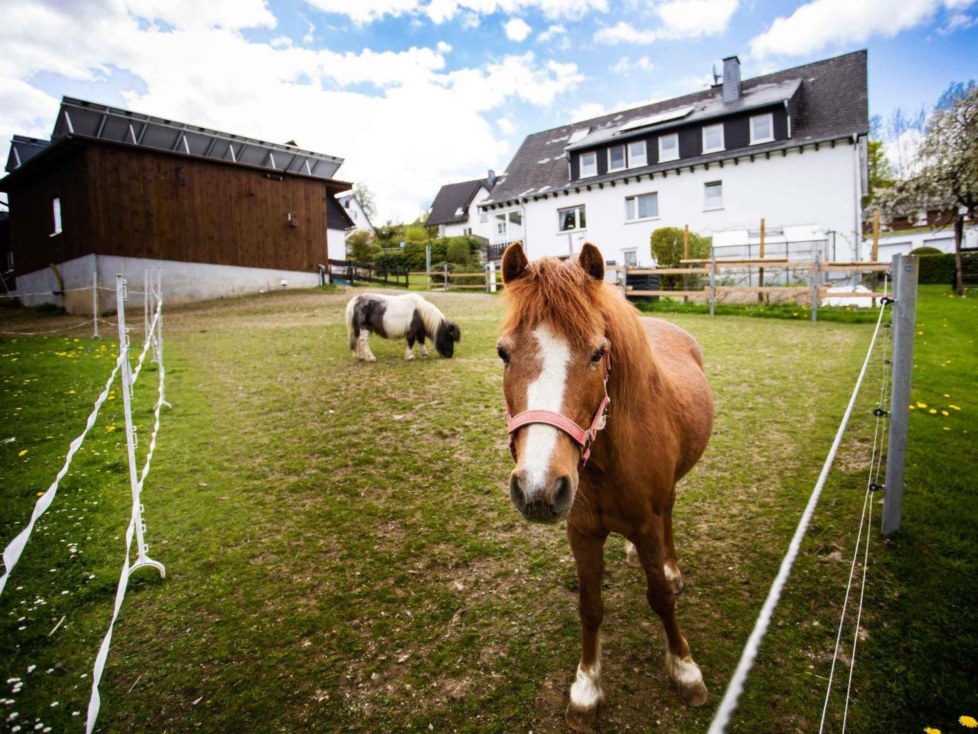 Kornkammer Schmallenberg Bagian luar foto